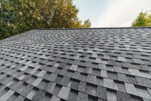 Read more about the article Trusted Roofing Company in Brooklyn, OH | Town N Country