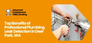 plumbing leak detection Denison, WA