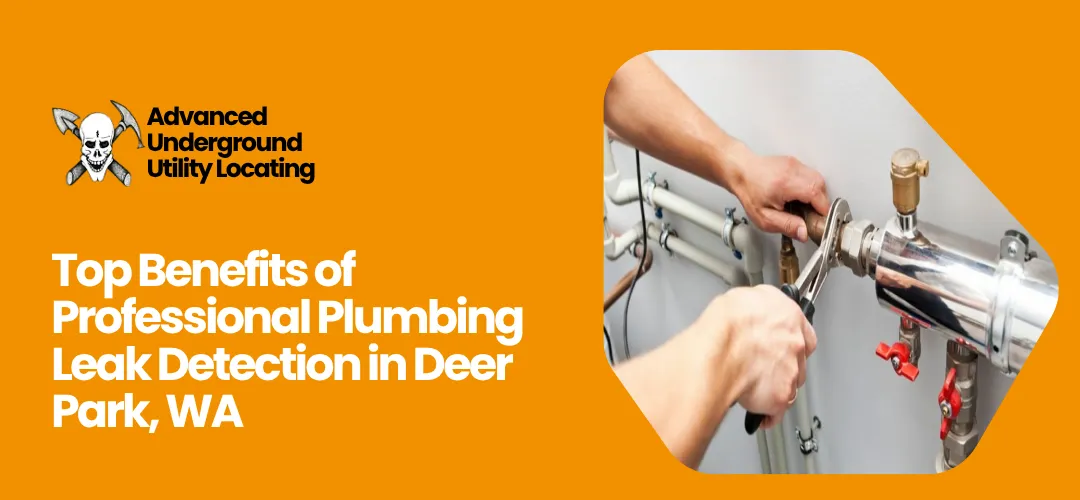 Read more about the article Professional Plumbing Leak Detection Deer Park WA