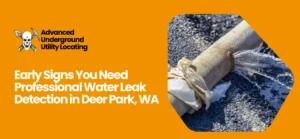 water leak detection