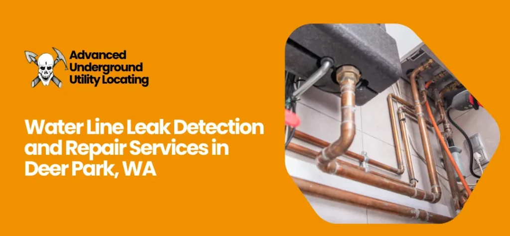Water Line Leak Detection