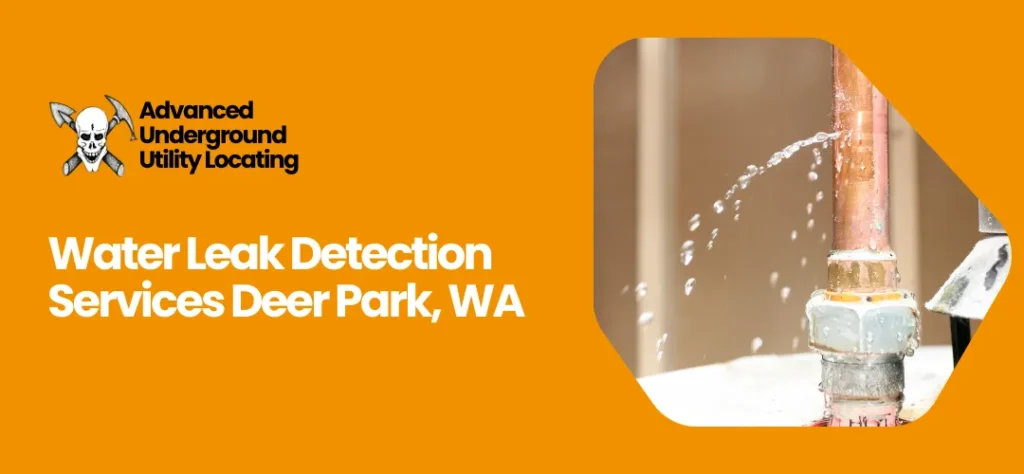 water leak detection services