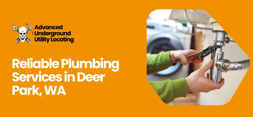 Read more about the article Plumbing Services Deer Park WA