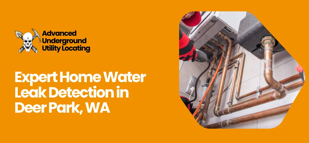 Read more about the article Home Water Leak Detection Deer Park WA