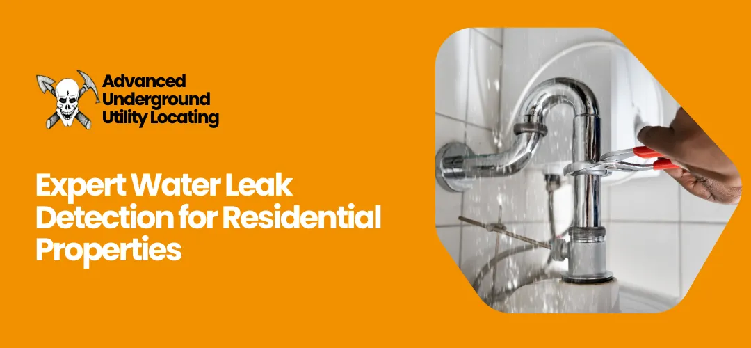 Read more about the article Expert Water Leak Detection