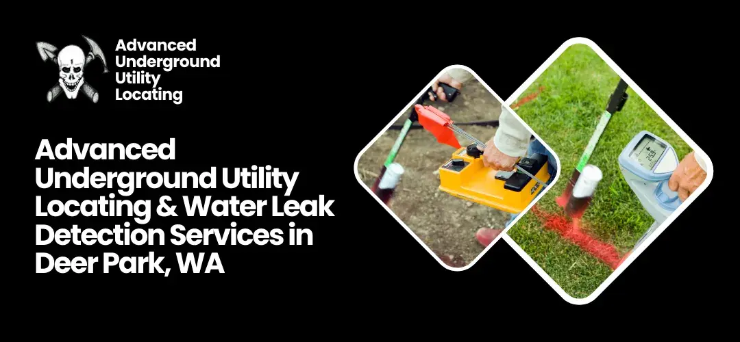 Read more about the article Water Leak Detection Services Deer Park