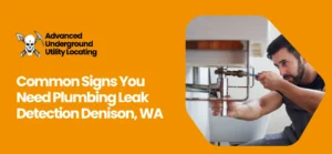 plumbing leak detection Denison, WA