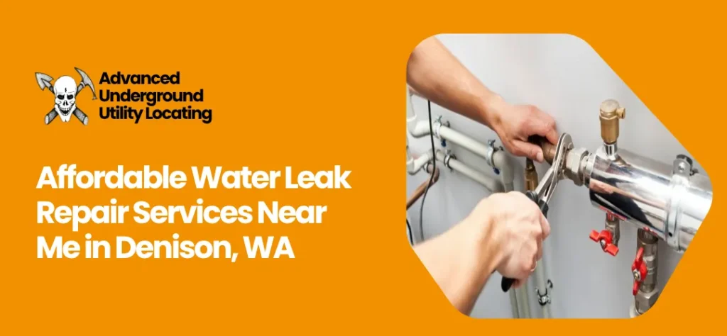 water leak repair Denison, WA