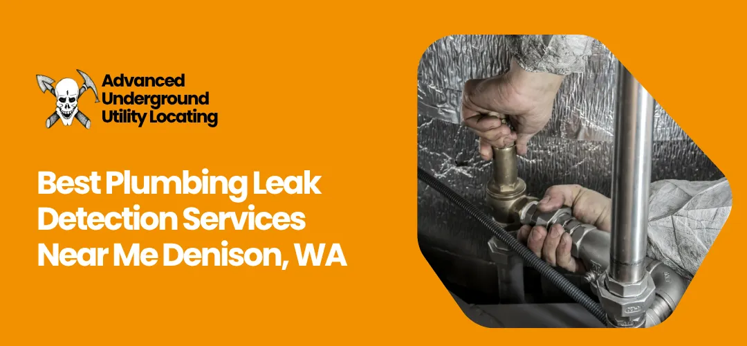 Read more about the article Plumbing Leak Detection Services