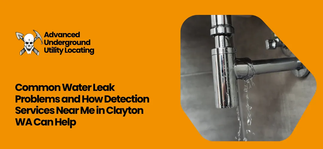 Read more about the article water leak detection services near me in Clayton WA