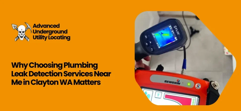 Plumbing Leak Detection Services Near Me