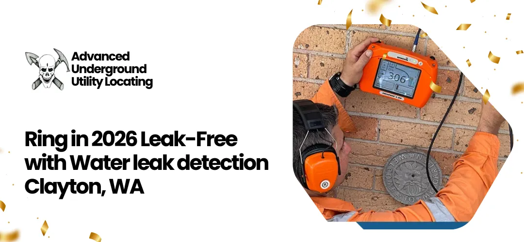 Read more about the article Water leak detection in Clayton, WA