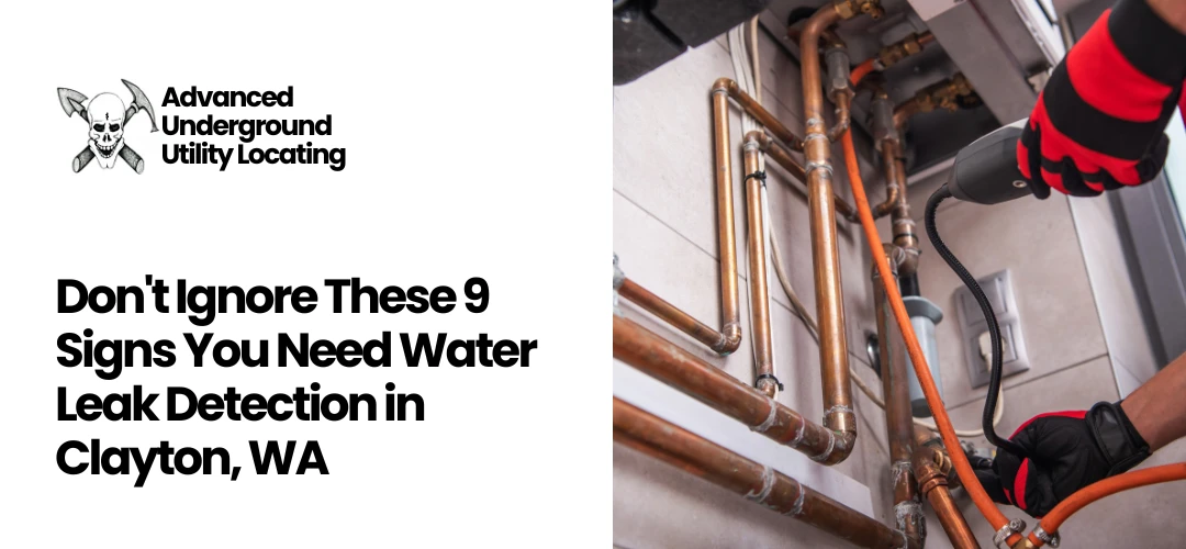 Read more about the article Need Water Leak Detection in Clayton, WA