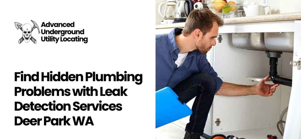 Leak Detection Services Deer Park WA